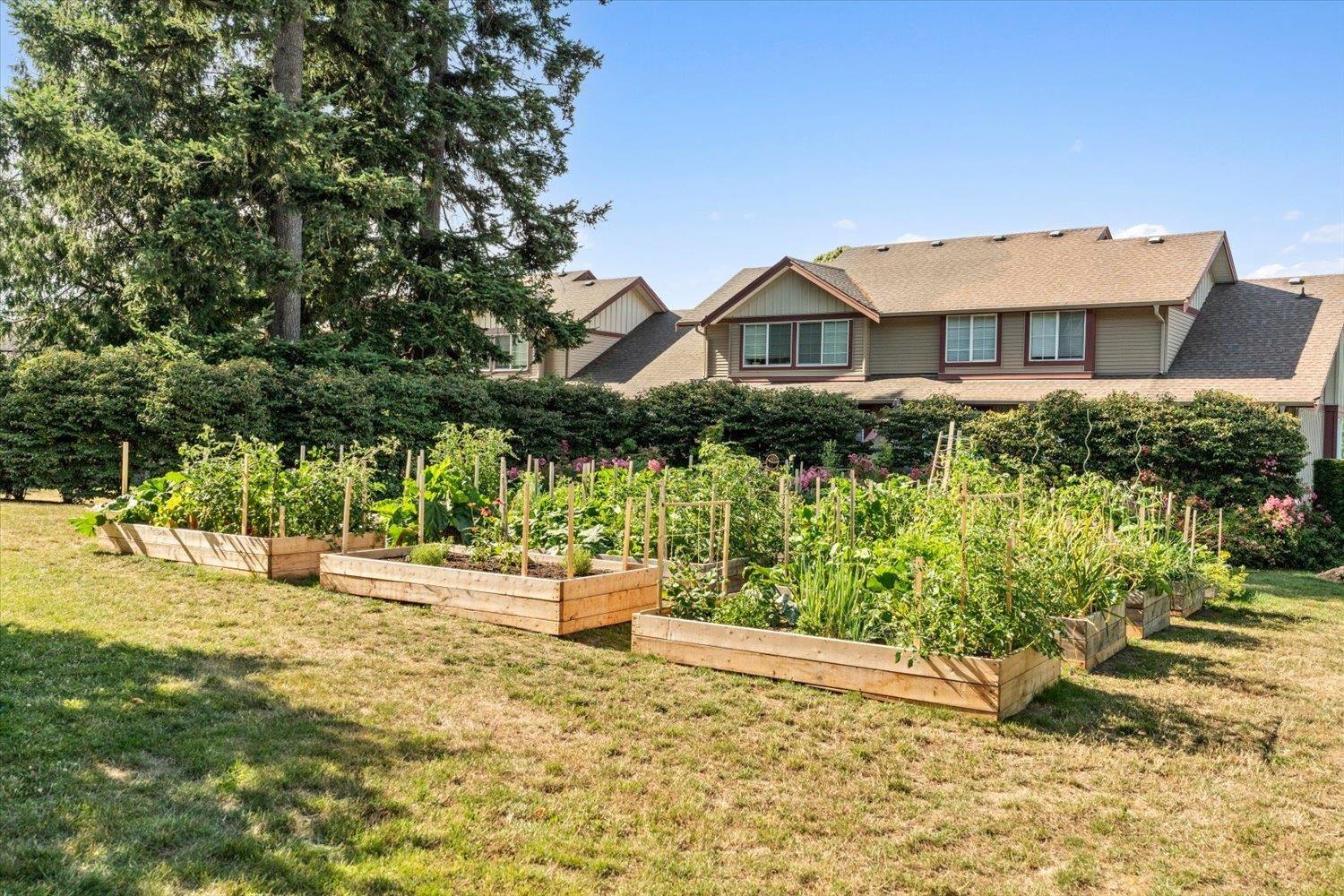 109B 45595 TAMIHI WAY, Garrison Crossing, Chilliwack