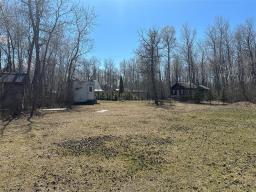 98088 39 E Road, Beaconia, MB R0E0B0 Photo 30