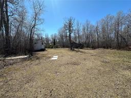 98088 39 E Road, Beaconia, MB R0E0B0 Photo 32