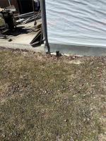 98088 39 E Road, Beaconia, MB R0E0B0 Photo 47