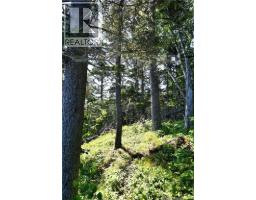Lot 86-312 Fundy Drive, Wilsons Beach, NB E5E1X4 Photo 12
