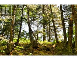 Lot 86-312 Fundy Drive, Wilsons Beach, NB E5E1X4 Photo 13
