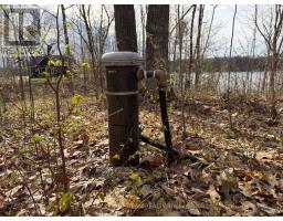 00 Coghlan Lane, Madawaska Valley, ON K0J1B0 Photo 14