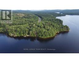 00 Coghlan Lane, Madawaska Valley, ON K0J1B0 Photo 6