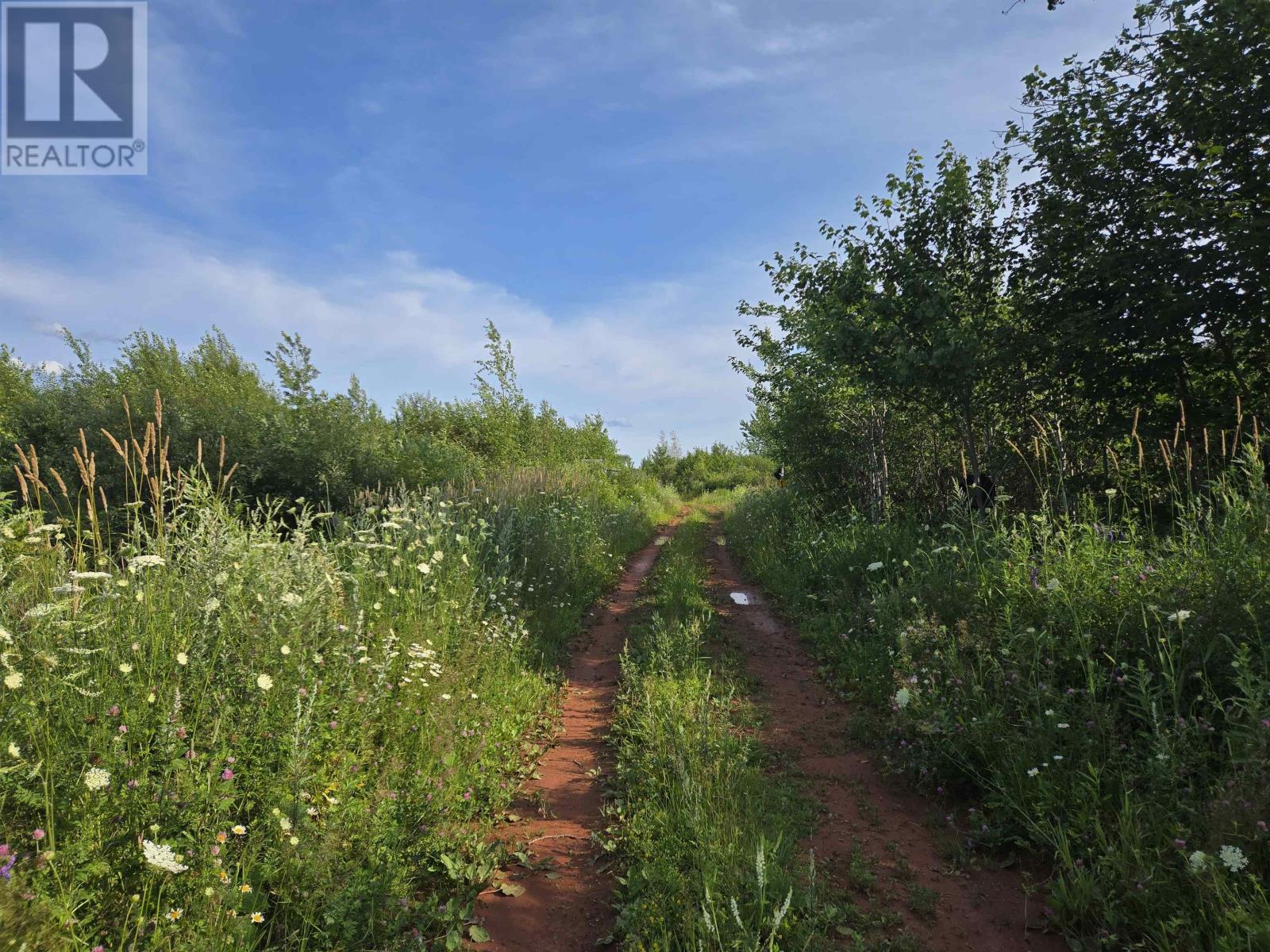 Acreage Deblois Road, DeBlois — photo 3