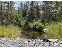 19653 Highway 7, Spry Bay, NS B0J3H0 Photo 27