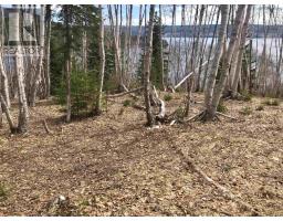 Cabot Trail / Rooster Hill, Goose Cove, NS B0E1B0 Photo 25
