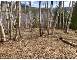Cabot Trail / Rooster Hill, Goose Cove, NS B0E1B0 Photo 16