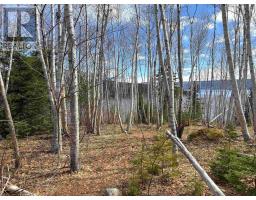 Cabot Trail / Rooster Hill, Goose Cove, NS B0E1B0 Photo 15