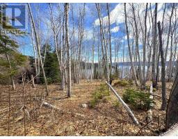 Cabot Trail / Rooster Hill, Goose Cove, NS B0E1B0 Photo 9