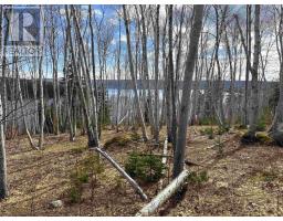 Cabot Trail / Rooster Hill, Goose Cove, NS B0E1B0 Photo 30