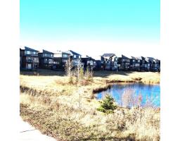 1399 Watt Dr Sw, Edmonton, AB T6X2A6 Photo 70