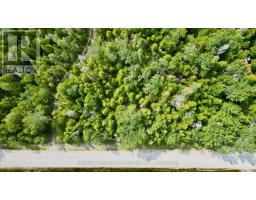 Lt 11 Spry Road, Northern Bruce Peninsula, ON N0H1W0 Photo 10