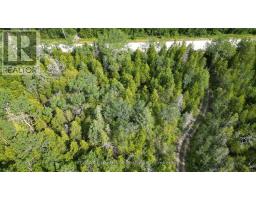 Lt 11 Spry Road, Northern Bruce Peninsula, ON N0H1W0 Photo 15