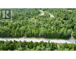 Lt 11 Spry Road, Northern Bruce Peninsula, ON N0H1W0 Photo 9