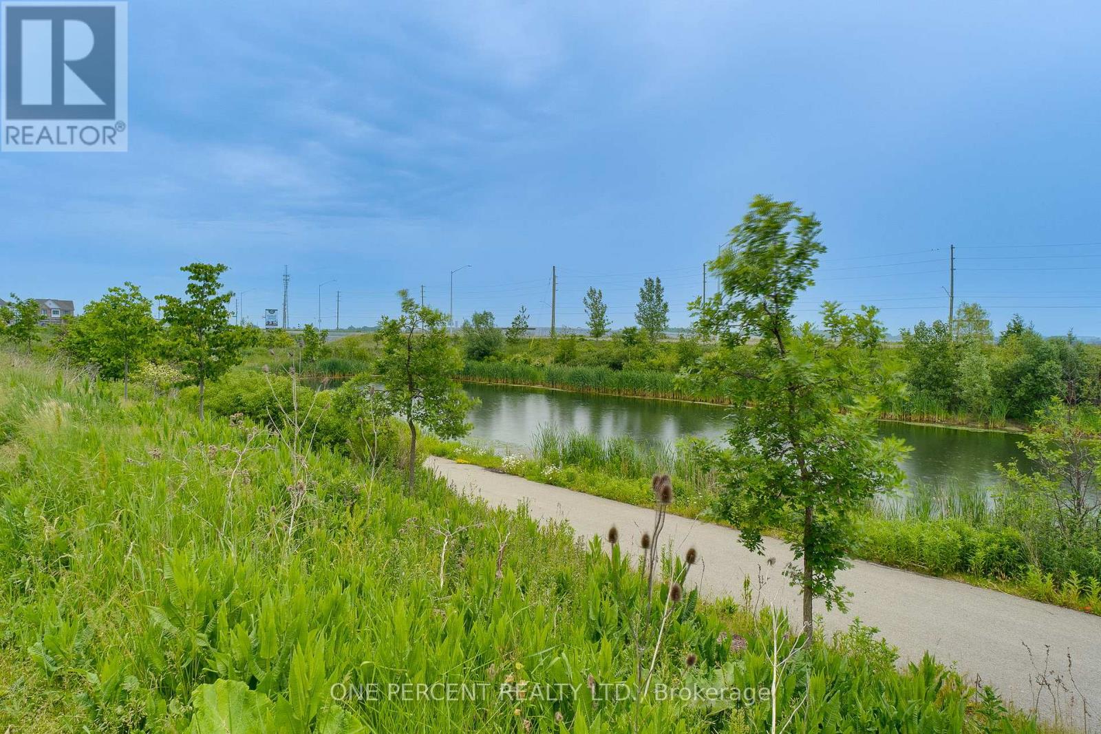387 THIMBLEWEED COURT - 40