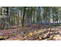 7 Sandy Point, Manitowaning, ON P0P1N0 Photo 10