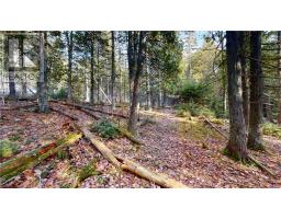 7 Sandy Point, Manitowaning, ON P0P1N0 Photo 11