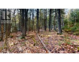 7 Sandy Point, Manitowaning, ON P0P1N0 Photo 12