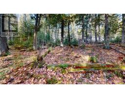 7 Sandy Point, Manitowaning, ON P0P1N0 Photo 13