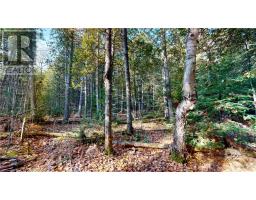 7 Sandy Point, Manitowaning, ON P0P1N0 Photo 14