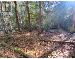 7 Sandy Point, Manitowaning, ON P0P1N0 Photo 15