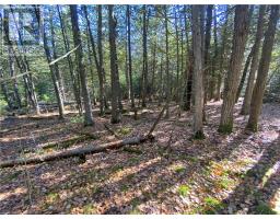 7 Sandy Point, Manitowaning, ON P0P1N0 Photo 16