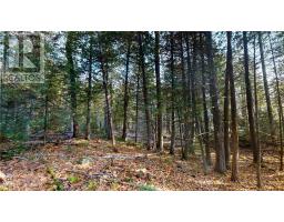 7 Sandy Point, Manitowaning, ON P0P1N0 Photo 9