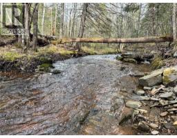 Lot Sand Brook Road, Hoyt, NB E5L2L5 Photo 11