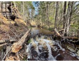 Lot Sand Brook Road, Hoyt, NB E5L2L5 Photo 12