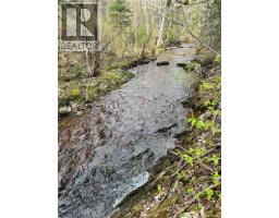 Lot Sand Brook Road, Hoyt, NB E5L2L5 Photo 16