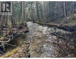 Lot Sand Brook Road, Hoyt, NB E5L2L5 Photo 17