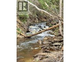 Lot Sand Brook Road, Hoyt, NB E5L2L5 Photo 8