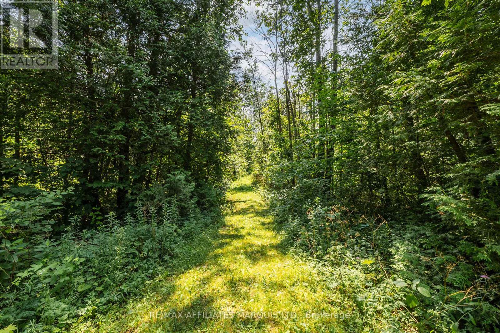 19458 CABER ROAD - Image 46