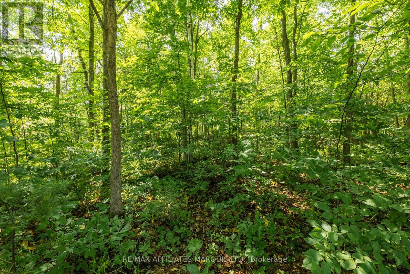 19458 CABER ROAD - Image 47