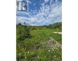 Part Of Lot 2 Con 5 Highway 65 Highway E, Timiskaming, ON P0J1P0 Photo 6