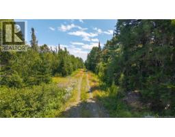 294 Route 172, Letang, NB E5C1W3 Photo 10