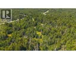 294 Route 172, Letang, NB E5C1W3 Photo 14