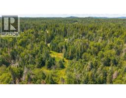 294 Route 172, Letang, NB E5C1W3 Photo 32