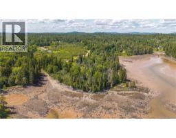 294 Route 172, Letang, NB E5C1W3 Photo 29