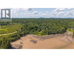 294 Route 172, Letang, NB E5C1W3 Photo 30