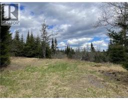 294 Route 172, Letang, NB E5C1W3 Photo 38