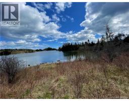294 Route 172, Letang, NB E5C1W3 Photo 36