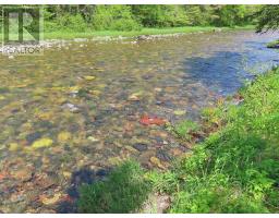 3 Lots Gold Brook Road, Upper Middle River, NS B0E1B0 Photo 10