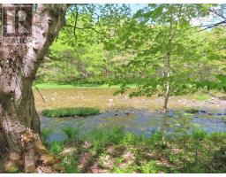 3 Lots Gold Brook Road, Upper Middle River, NS B0E1B0 Photo 12