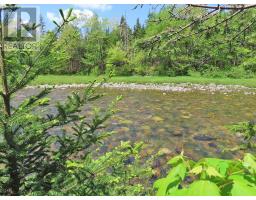 3 Lots Gold Brook Road, Upper Middle River, NS B0E1B0 Photo 11