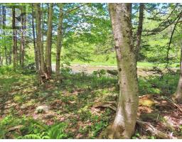 3 Lots Gold Brook Road, Upper Middle River, NS B0E1B0 Photo 13