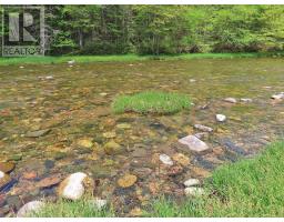 3 Lots Gold Brook Road, Upper Middle River, NS B0E1B0 Photo 14