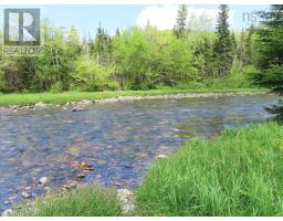 3 Lots Gold Brook Road, Upper Middle River, NS B0E1B0 Photo 15