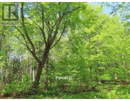 3 Lots Gold Brook Road, Upper Middle River, NS B0E1B0 Photo 17